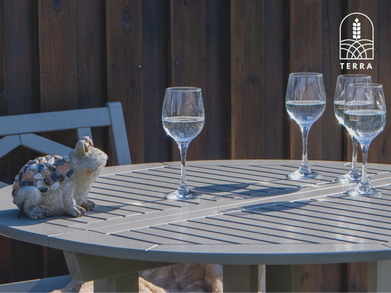 Evening glasses — Terra House, Ventspils