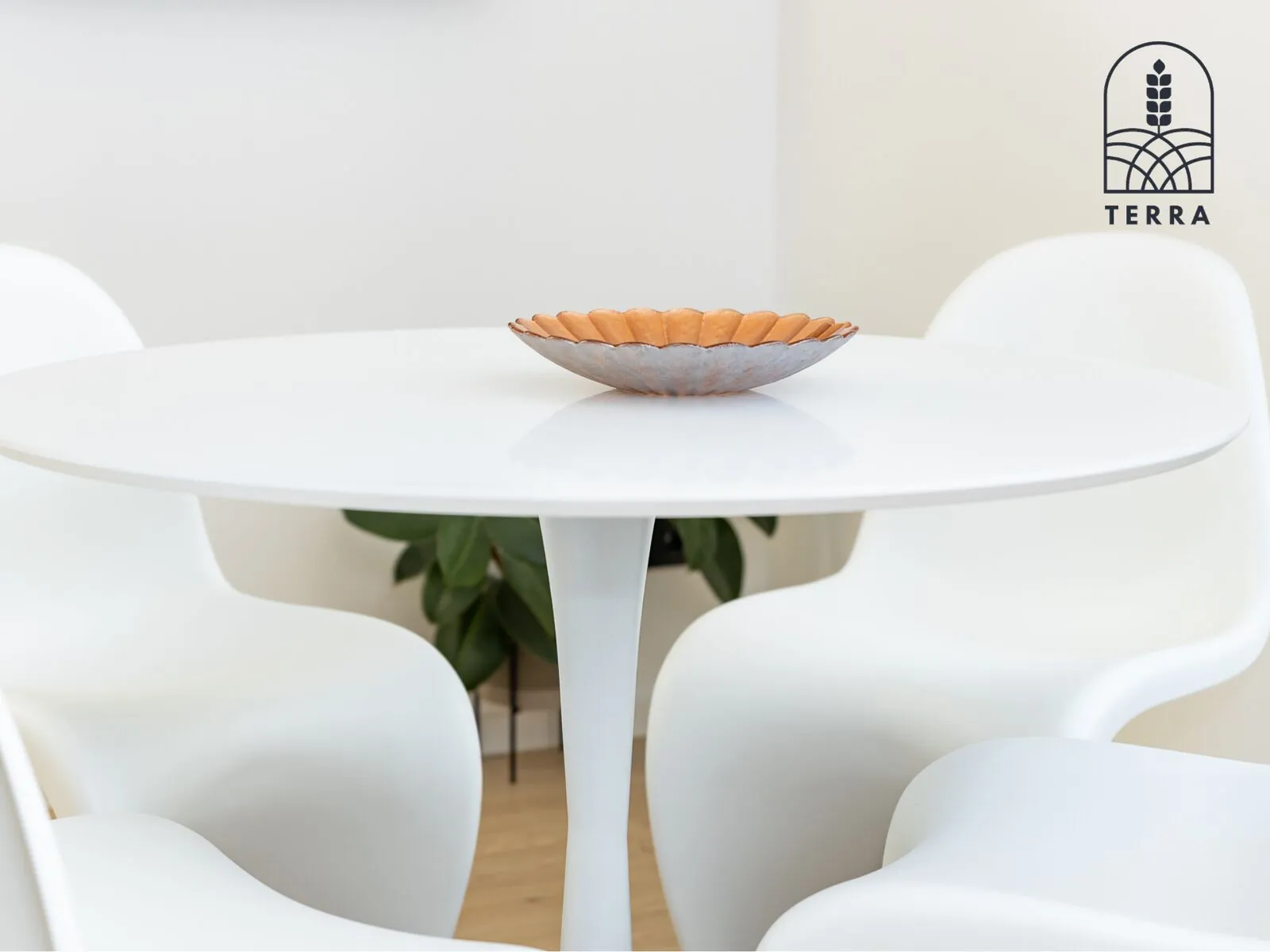 The white table — Terra House, Ventspils